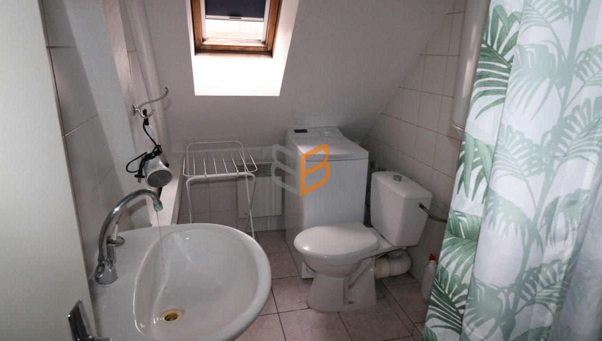 batch_batch_IMG_9687