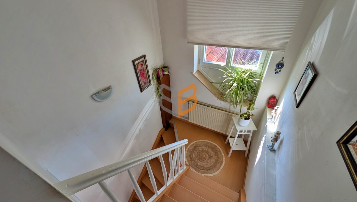 batch_PXL_20260303_104504950