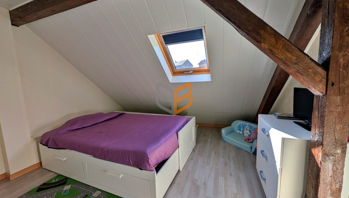 batch_PXL_20260303_105024105