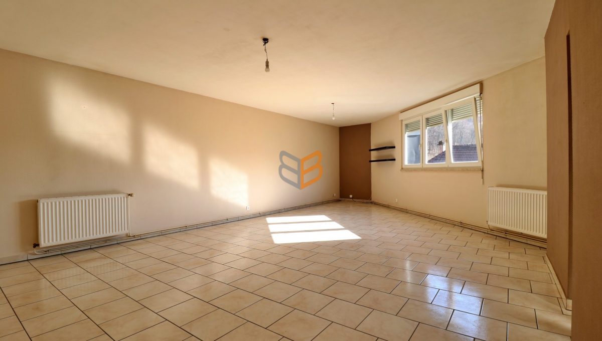 batch_VA3131_1_original