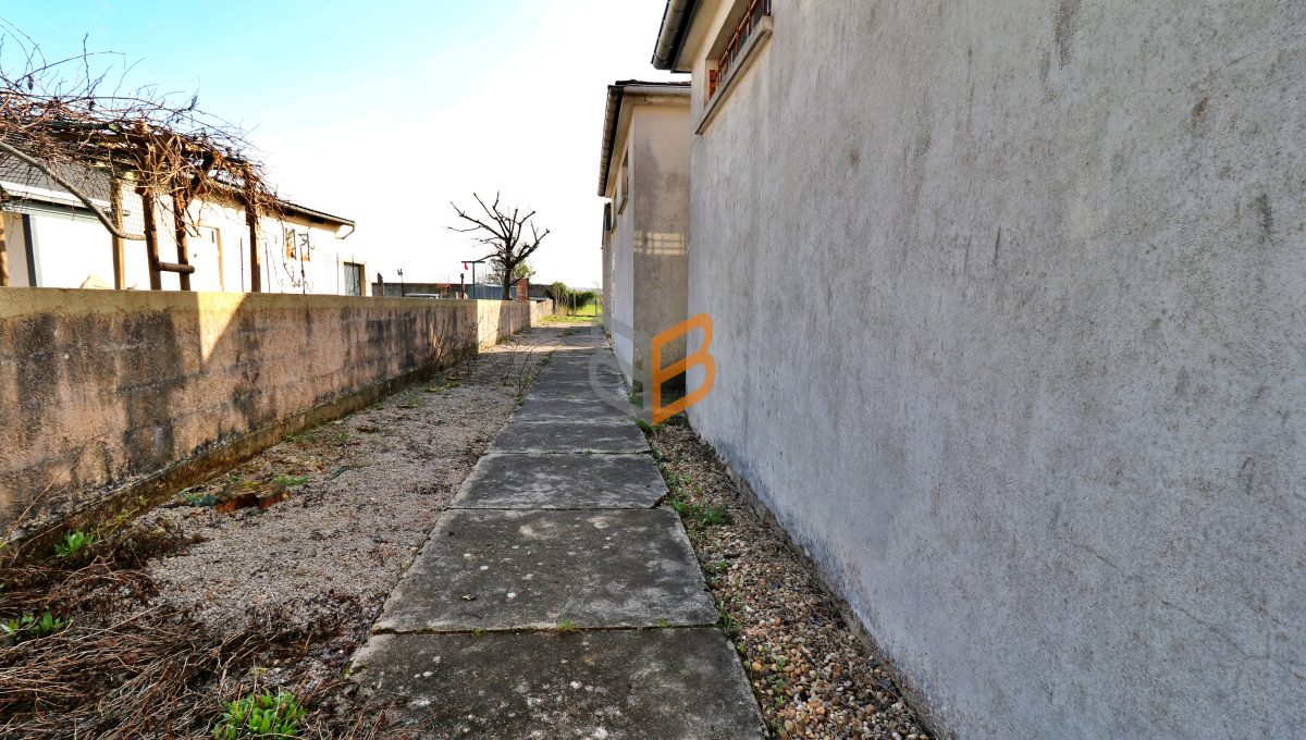 batch_batch_IMG_4223