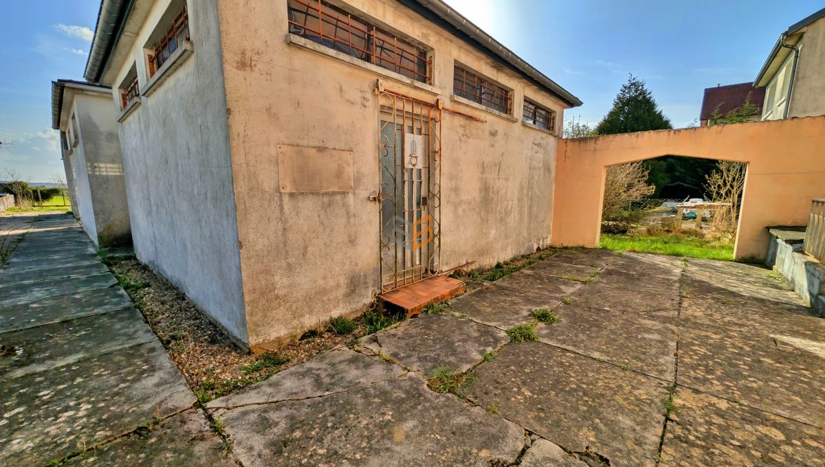 batch_batch_PXL_20260309_143256663.RAW-01