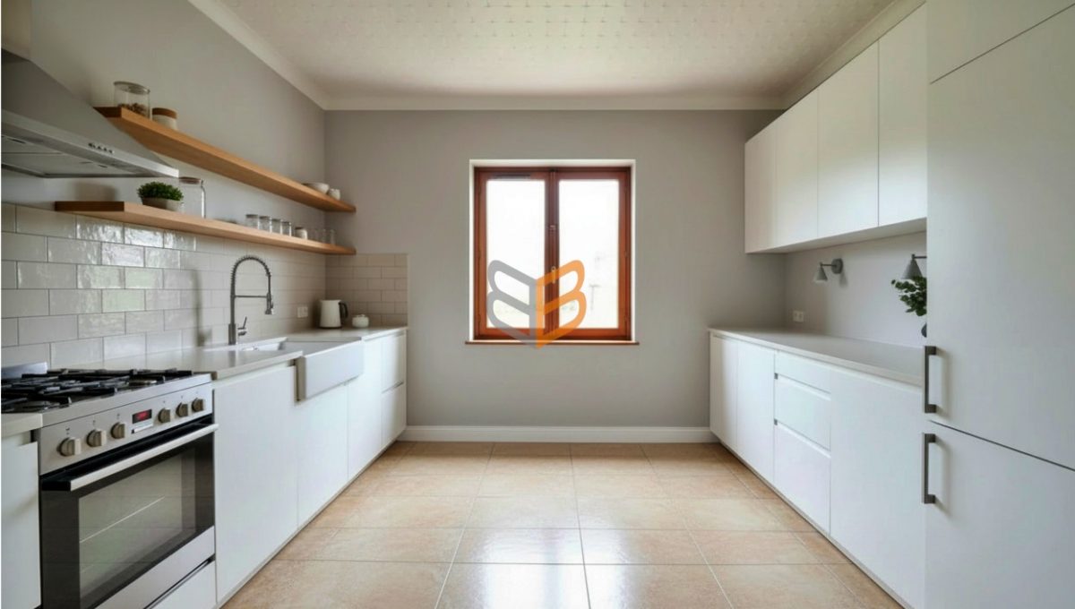 batch_generated_2026-03-05T14_44_18.617