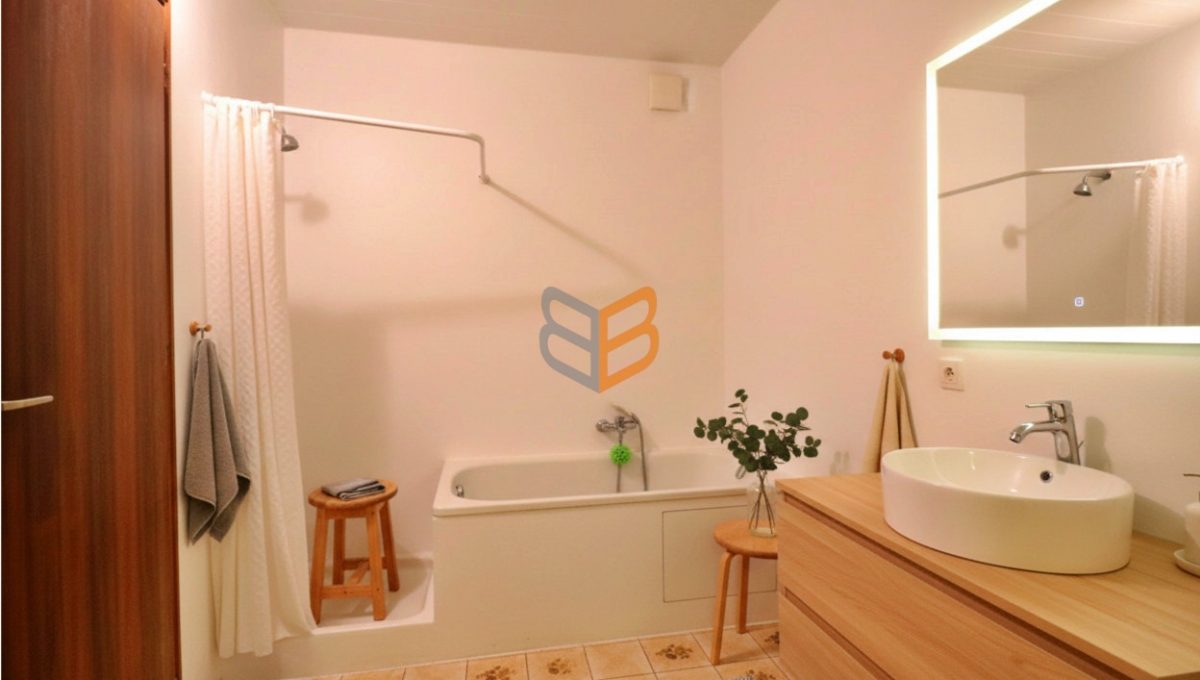 batch_generated_2026-03-06T11_20_21.681