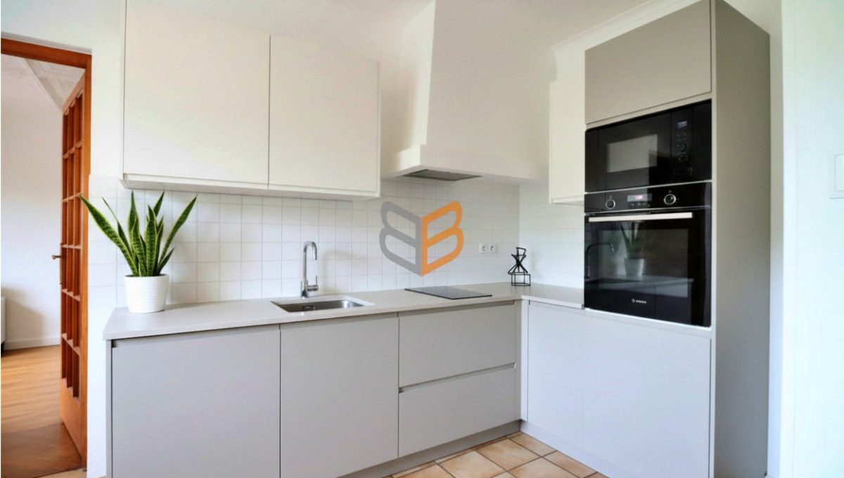 batch_generated_2026-03-06T11_25_05.561