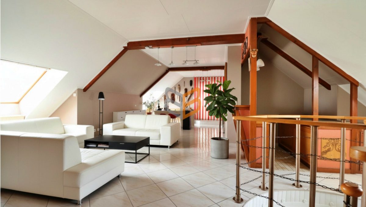 batch_generated_2026-03-06T15_05_25.568