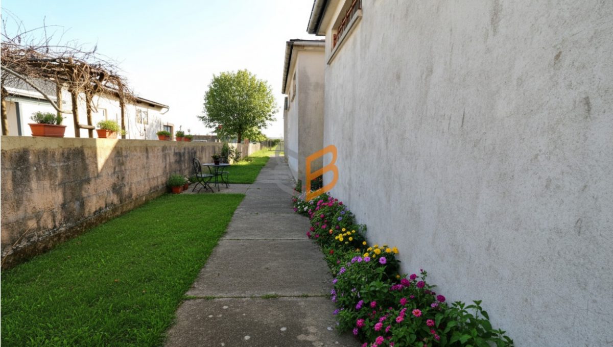 batch_generated_2026-03-09T16_09_56.495