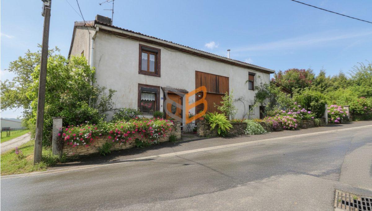 batch_generated_2026-03-13T16_00_30.936